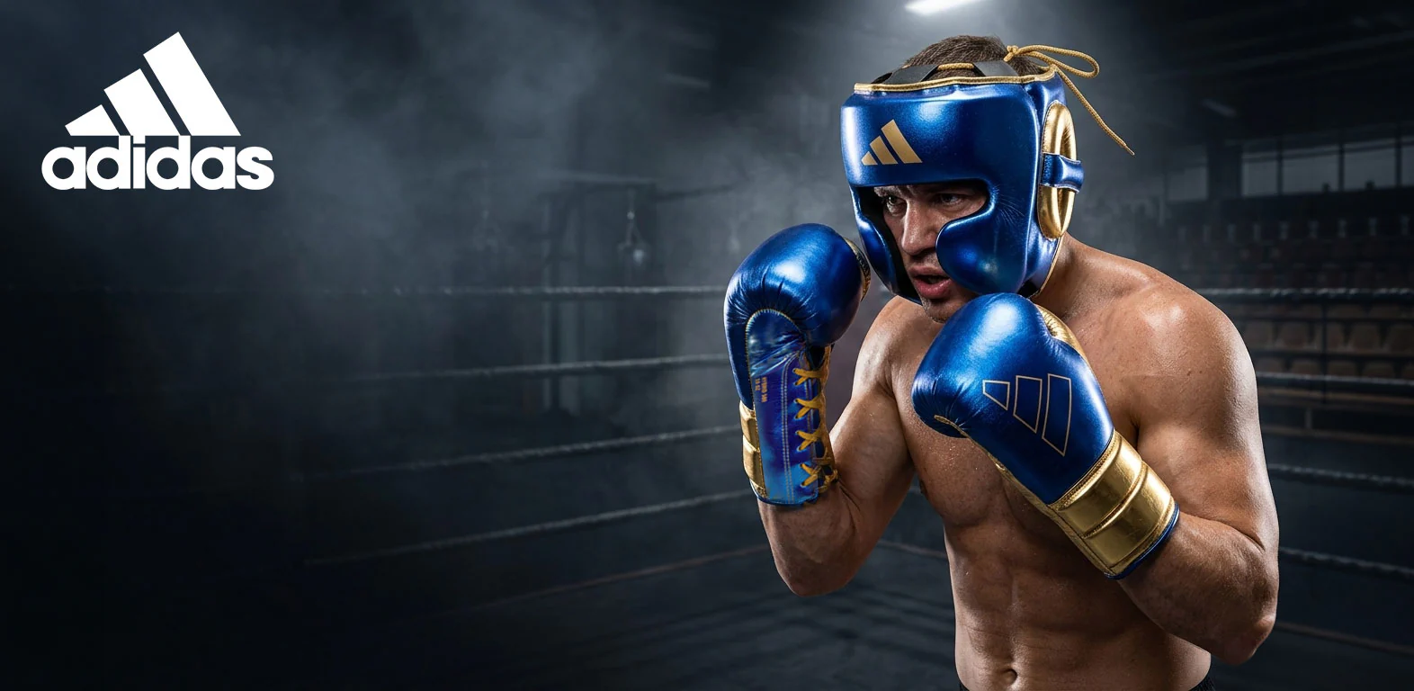 Domina o Ringue com Excelência